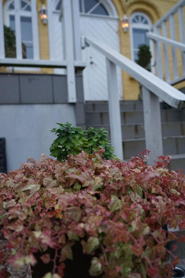 Turistgarden - House Of Ven Hotel Sankt Ibb Exterior photo